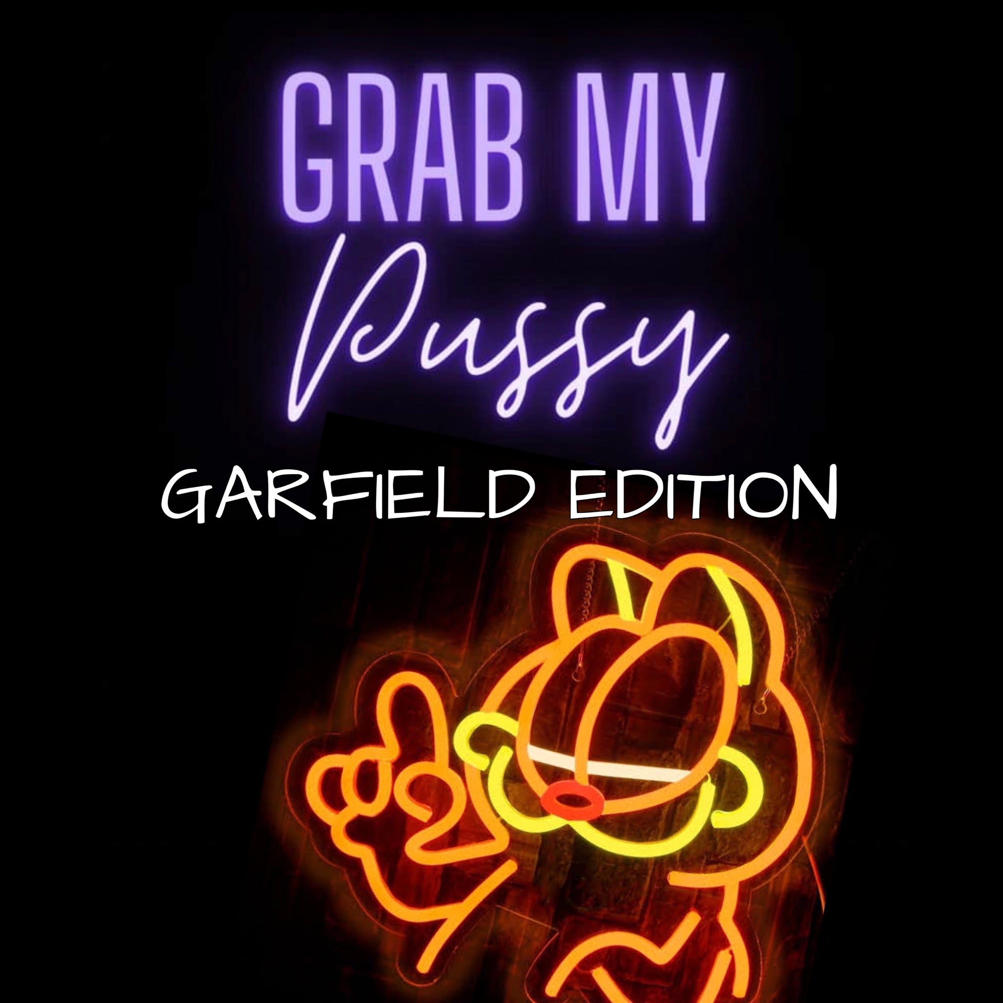 Grab My P*ssy- Garfield edition